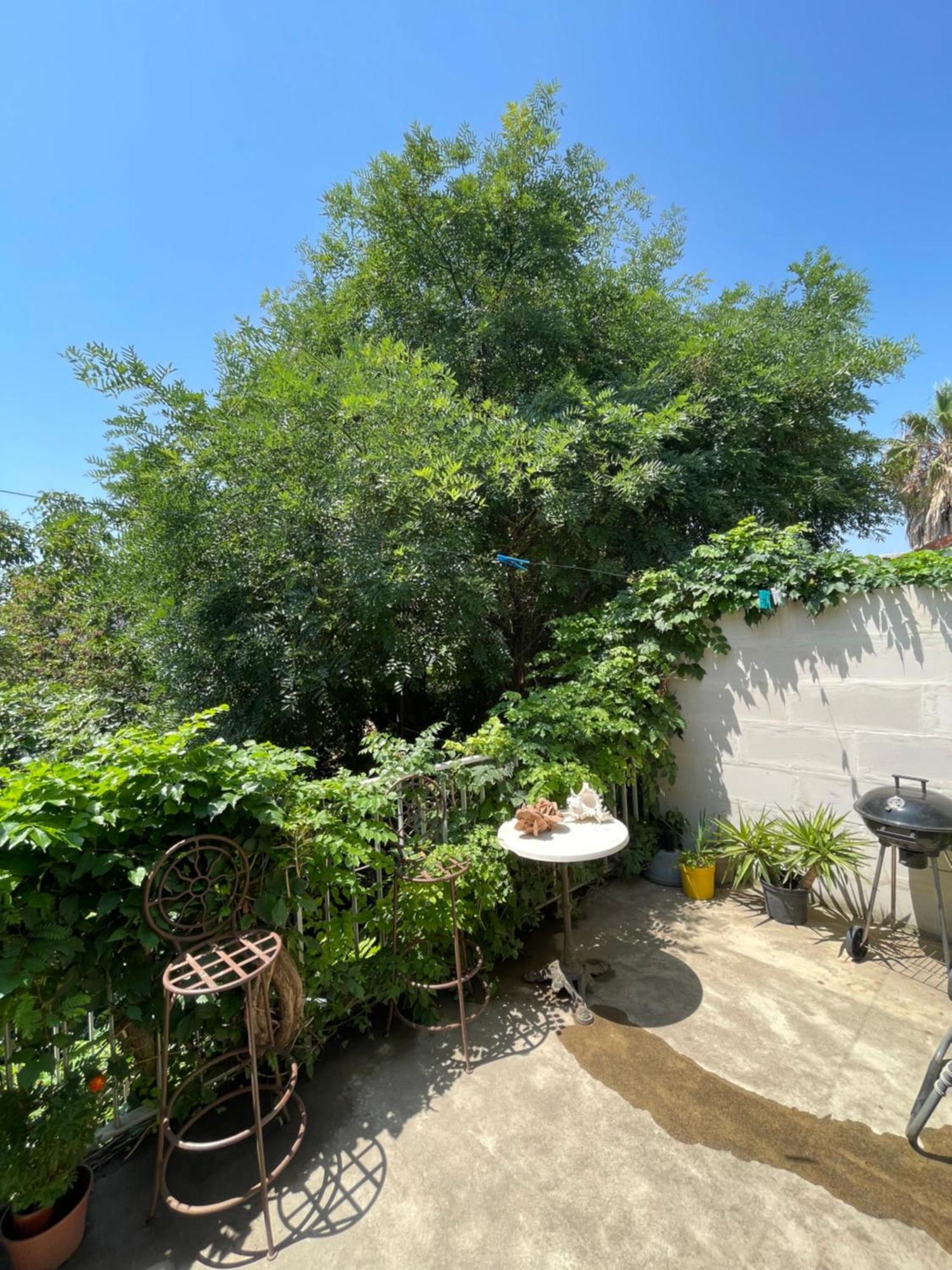 Les Jardins De Veronique Marie * Meze